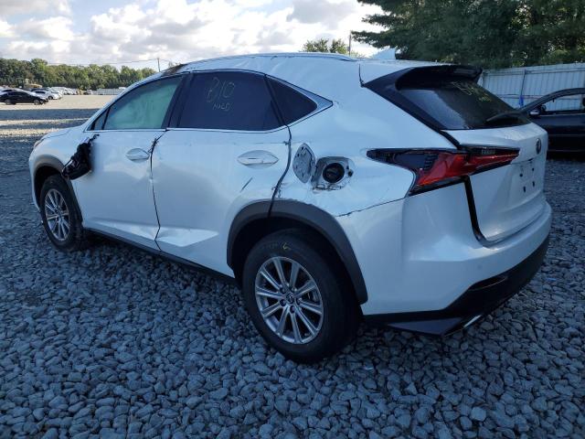 JTJDARDZ1M5026446  lexus nx 2021 IMG 2