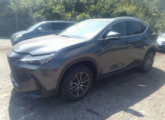 2T2AGCEZ5PC017560  lexus nx 2022 IMG 1