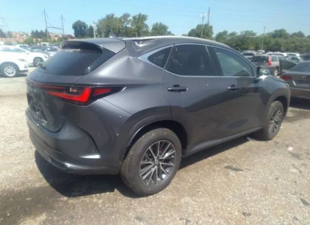 2T2AGCEZ5PC017560  lexus nx 2022 IMG 3