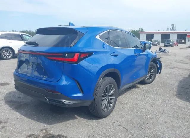 2T2GGCEZ6NC014979  lexus nx 2022 IMG 3