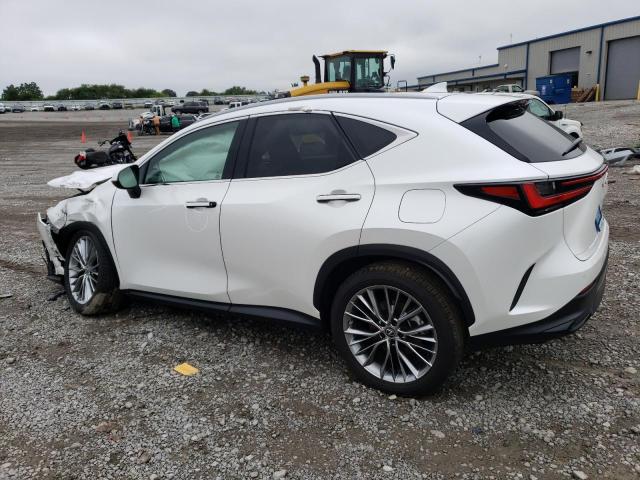 2T2GKCEZXNC004020  lexus nx 2022 IMG 1