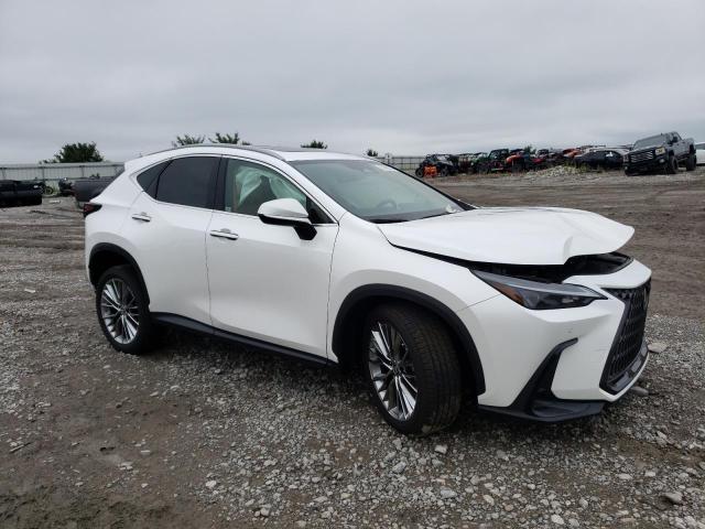 2T2GKCEZXNC004020  lexus nx 2022 IMG 3