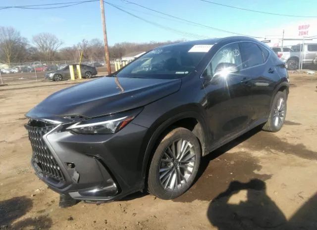 JTJGKCEZ2N5002275  lexus nx 2022 IMG 1