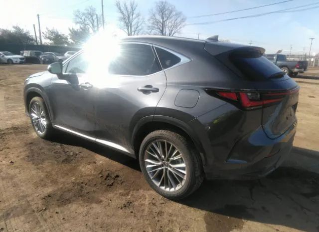 JTJGKCEZ2N5002275  lexus nx 2022 IMG 2