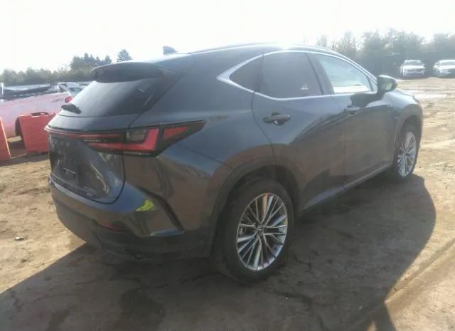 JTJGKCEZ2N5002275  lexus nx 2022 IMG 3