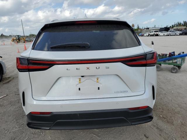 2T2GDCAZ0NC001806  lexus nx 250 2022 IMG 5