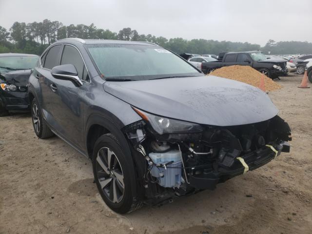 JTJBJRBZ0K2098201  lexus nx 300h 2019 IMG 0