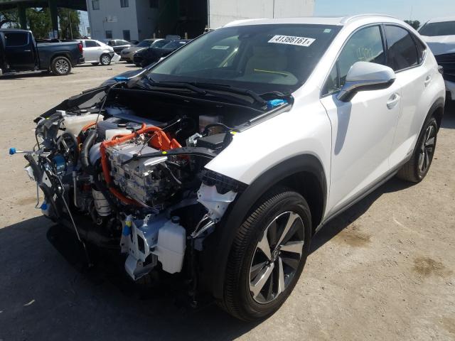 JTJGJRDZ3L5004217  lexus nx 300h 2020 IMG 1