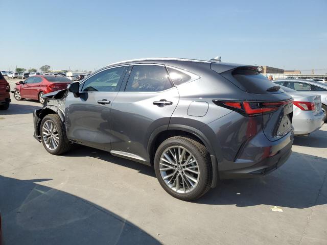 JTJGKCEZ2N5005578  lexus nx 350h 2022 IMG 1