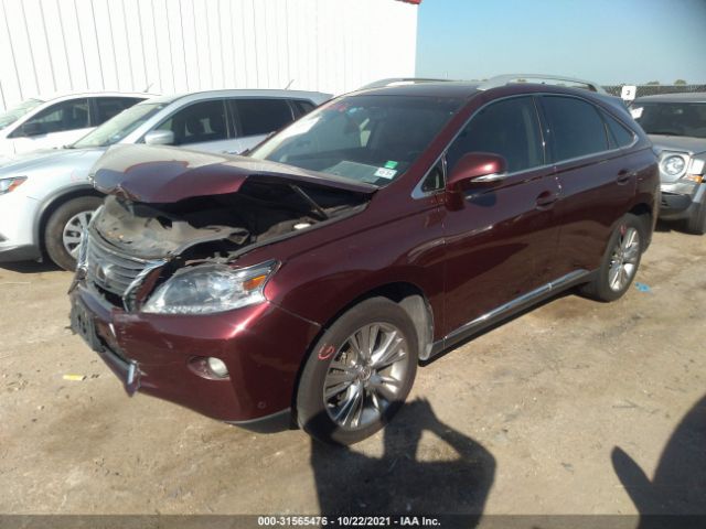 2T2ZK1BA7DC131866  lexus rx 350 2013 IMG 1