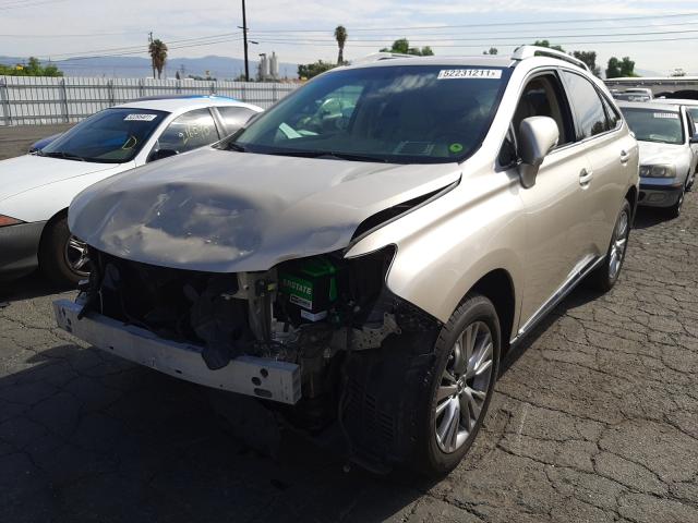 2T2ZK1BA9EC144572  lexus rx 350 2014 IMG 1