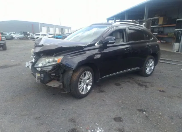 JTJBC1BA7A2408350  lexus rx 450h 2010 IMG 1