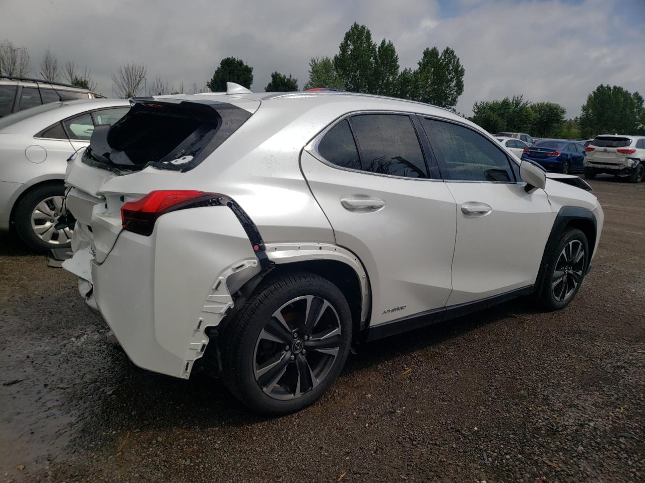 JTHU9JBH8K2009244  lexus ux 2019 IMG 2