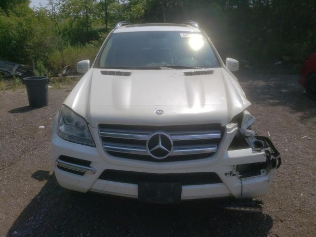 4JGBF2FEXBA648475  mercedes-benz gl-class 2010 IMG 4