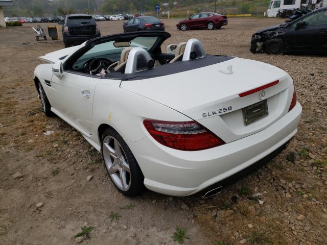 WDDPK4HA0CF041541  mercedes-benz slk 250 2012 IMG 2