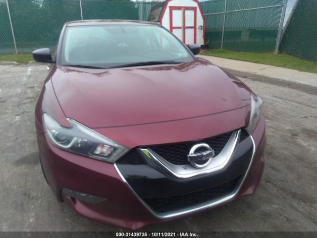 1N4AA6APXHC373823  nissan maxima 2017 IMG 5