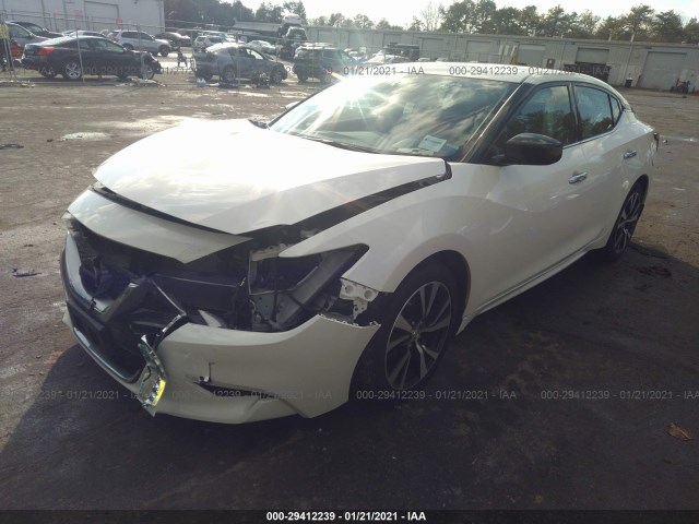 1N4AA6AP8HC443562  nissan maxima 2017 IMG 1