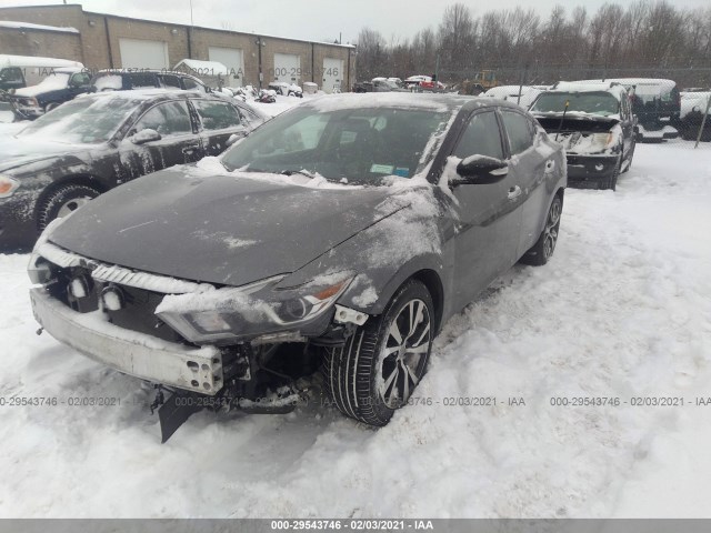 1N4AA6AP9HC416001  nissan maxima 2017 IMG 1