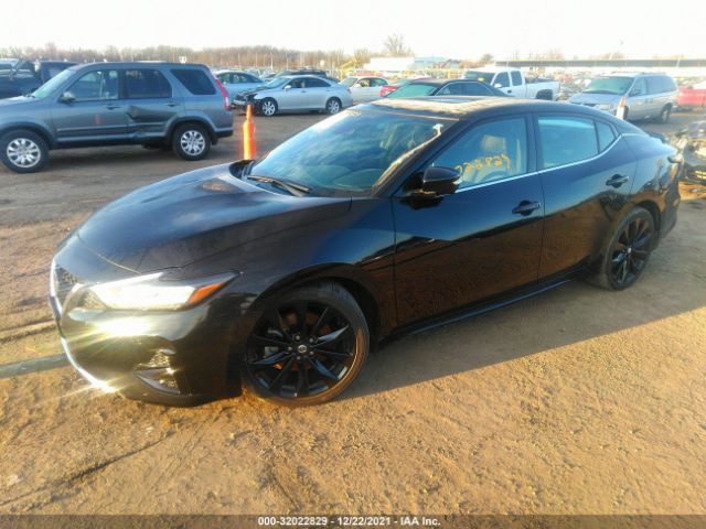 1N4AA6AV6KC381634  nissan maxima 2019 IMG 1