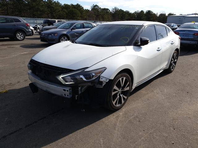 1N4AA6AP5HC408901  nissan maxima 3.5 2017 IMG 1