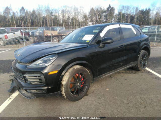 WP1AA2AY1KDA11830  porsche cayenne 2019 IMG 1