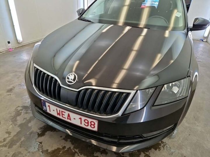 TMBJG7NEXK0199770  skoda octavia 2019 IMG 5