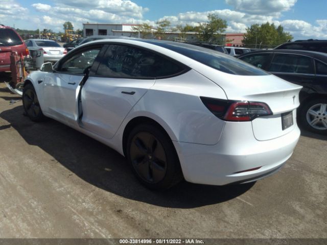 5YJ3E1EB6KF437813  tesla model 3 2019 IMG 2