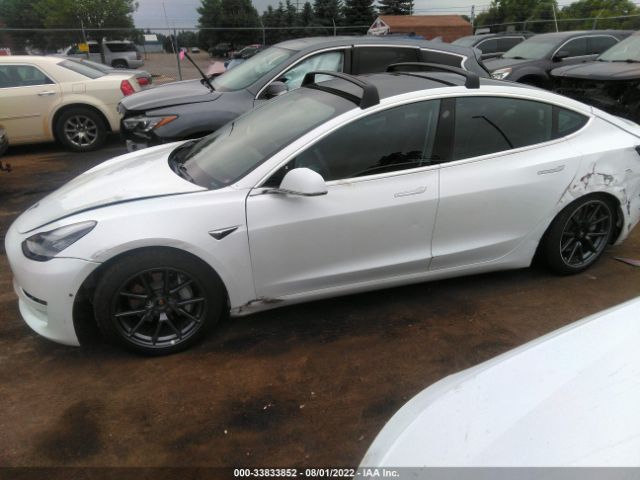 5YJ3E1EB6KF510758  tesla model 3 2019 IMG 5