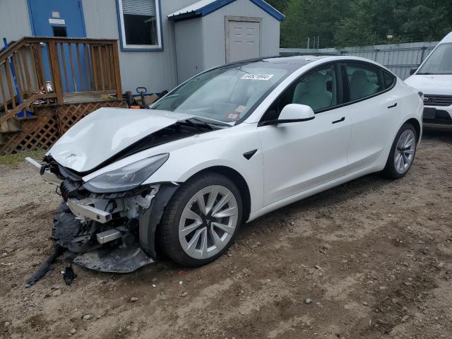 5YJ3E1EB0MF990279  tesla model 3 2021 IMG 0