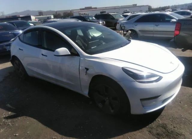 5YJ3E1EA8PF402172  tesla model 3 2023 IMG 0