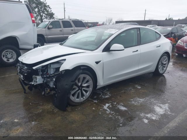 5YJ3E1EBXNF202304  tesla model 3 2022 IMG 1