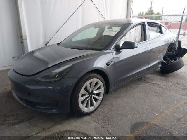 5YJ3E1EB7PF616479  tesla model 3 2023 IMG 1