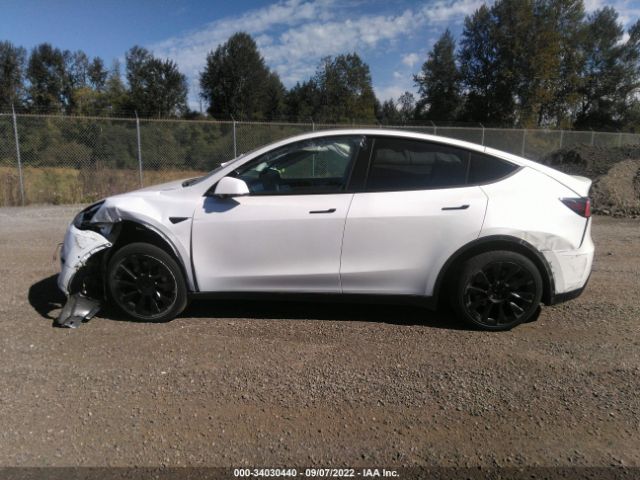 5YJYGDEE0LF055984  tesla model y 2020 IMG 5