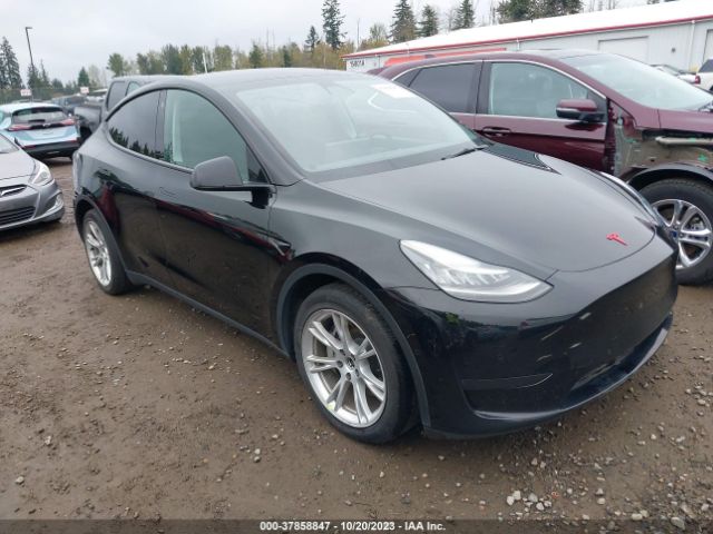 5YJYGDEE0MF092079  tesla model y 2021 IMG 0