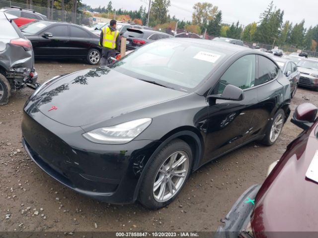 5YJYGDEE0MF092079  tesla model y 2021 IMG 1