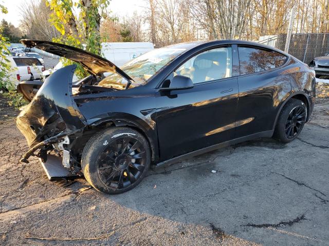 5YJYGDEE5MF097231  tesla model y 2021 IMG 0