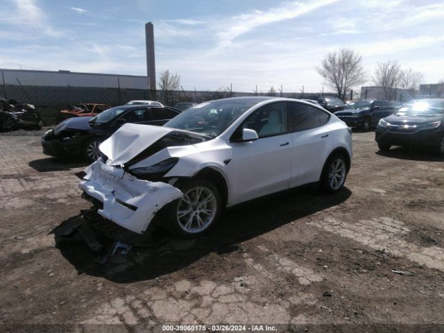 5YJYGDEE8LF020321  tesla model y 2020 IMG 1