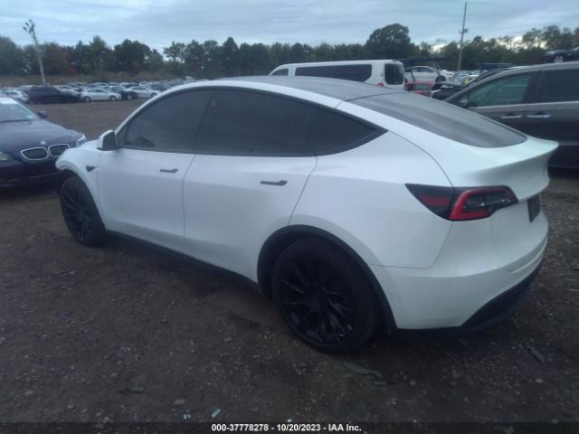 5YJYGDEE8MF087731  tesla model y 2021 IMG 2