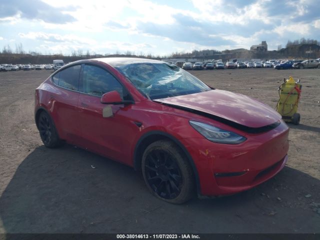 5YJYGAEE1MF251545  tesla model y 2021 IMG 0