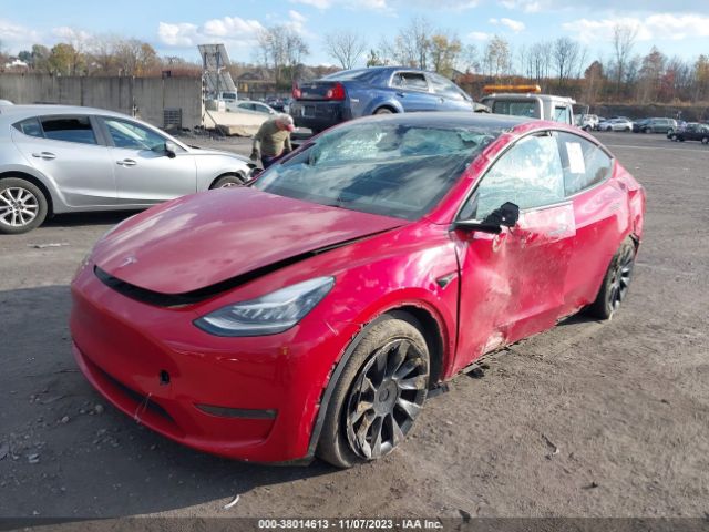 5YJYGAEE1MF251545  tesla model y 2021 IMG 1