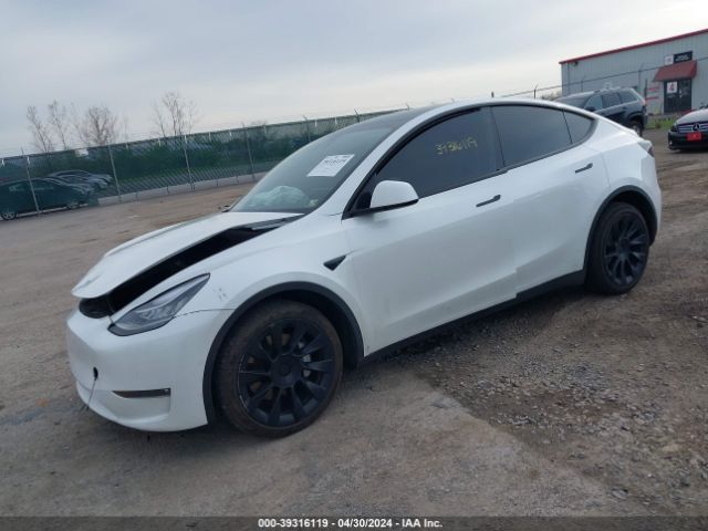 5YJYGAEE2MF299457  tesla model y 2021 IMG 1