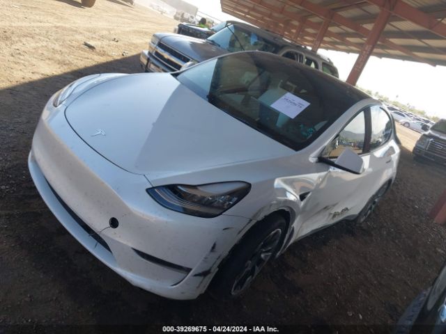 5YJYGAEE3MF267455  tesla model y 2021 IMG 1