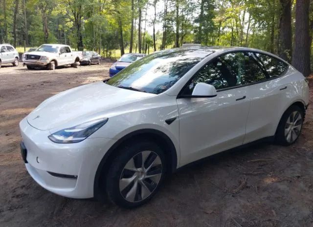 5YJYGAEE4MF146028  tesla model y 2021 IMG 1