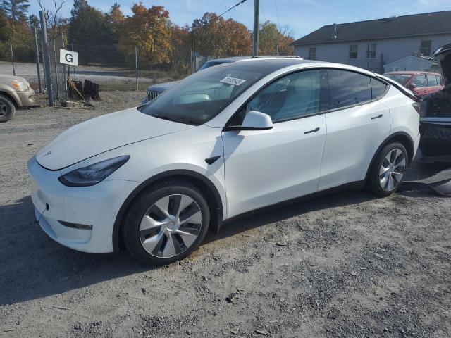 5YJYGAEE6MF293791  tesla model y 2021 IMG 0