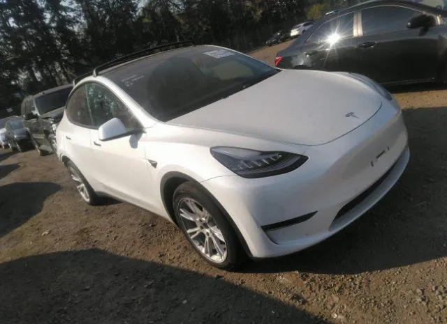 5YJYGAEE7MF237780  tesla model y 2021 IMG 0