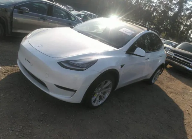 5YJYGAEE7MF237780  tesla model y 2021 IMG 1