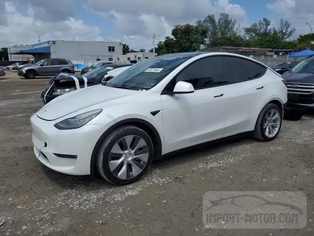 5YJYGAEE9MF183544  tesla model y 2021 IMG 0