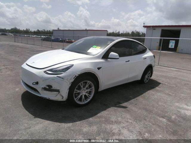 5YJYGDED1MF123010  tesla model y 2021 IMG 1