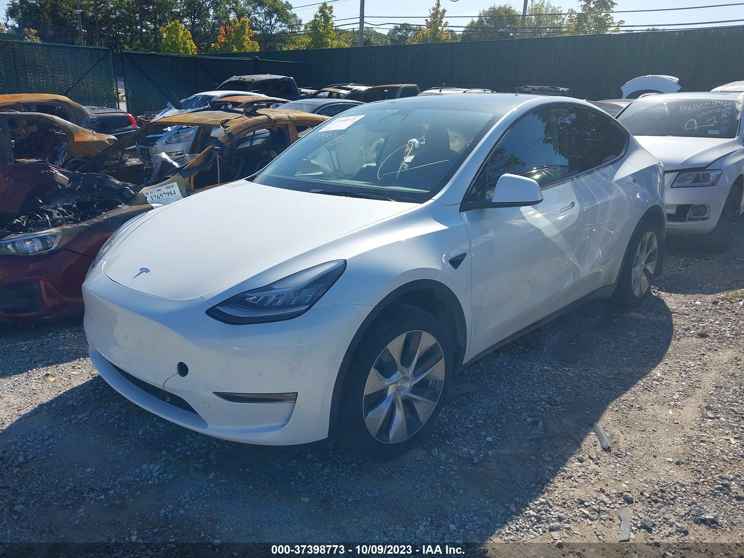 5YJYGDEE0MF208753  tesla model y 2021 IMG 1