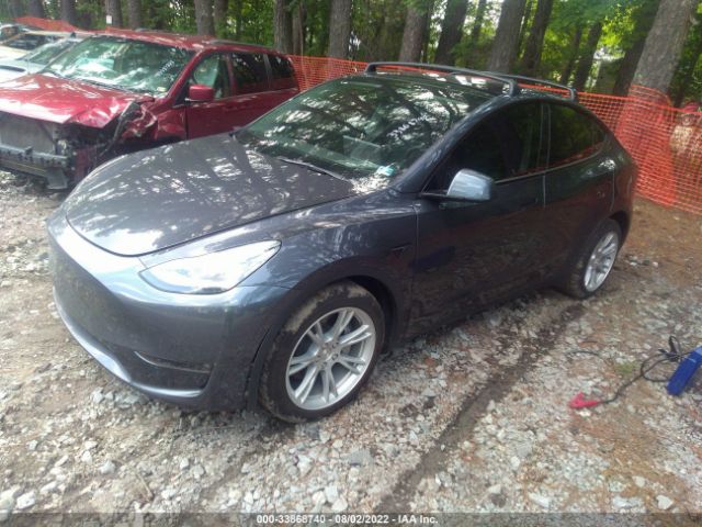 5YJYGDEE0MF254955  tesla model y 2021 IMG 1